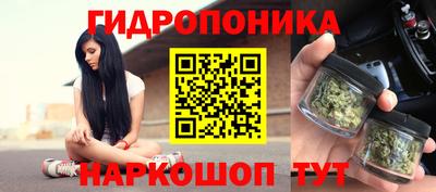 МДПВ Лесосибирск