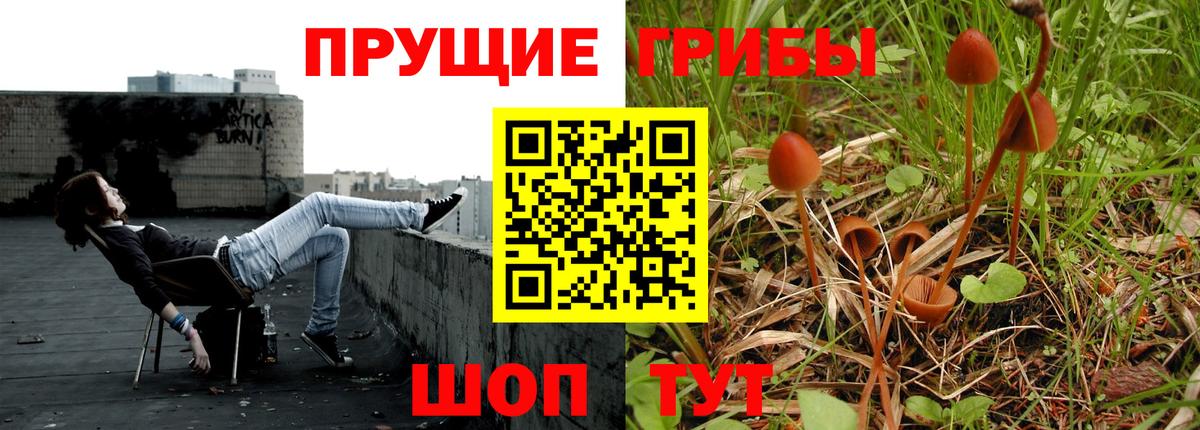 Псилоцибиновые грибы прущие грибы  Вход с VPN  Благовещенск  Галлюциногенные грибы GOLDEN TEACHER 